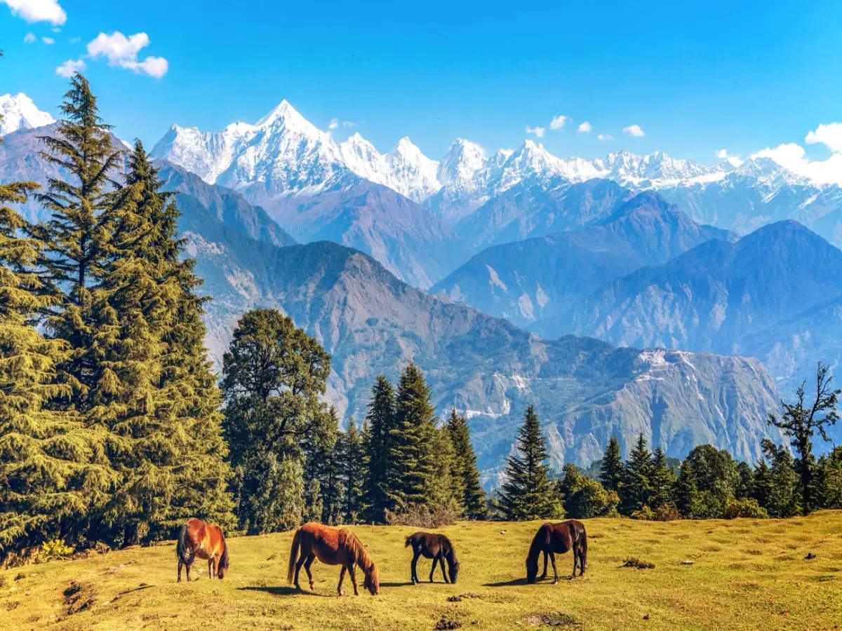 mountains of Munsiyari