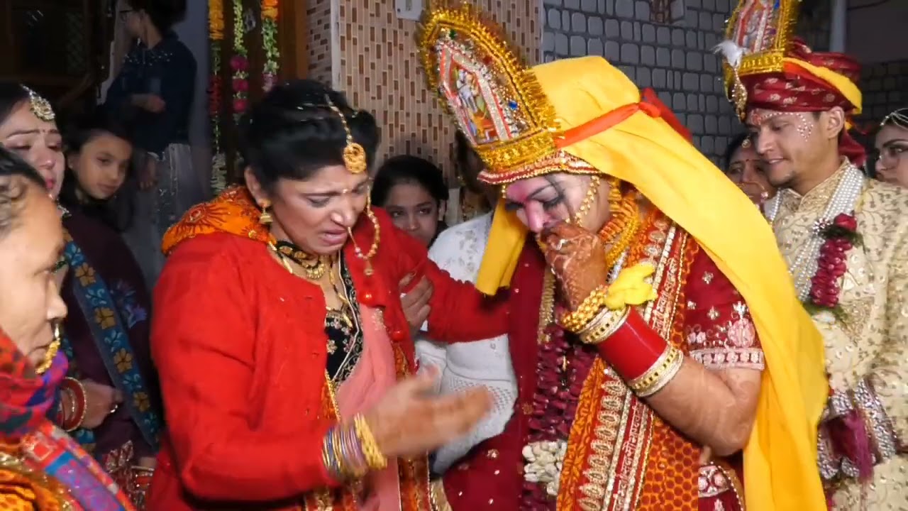 vidai image